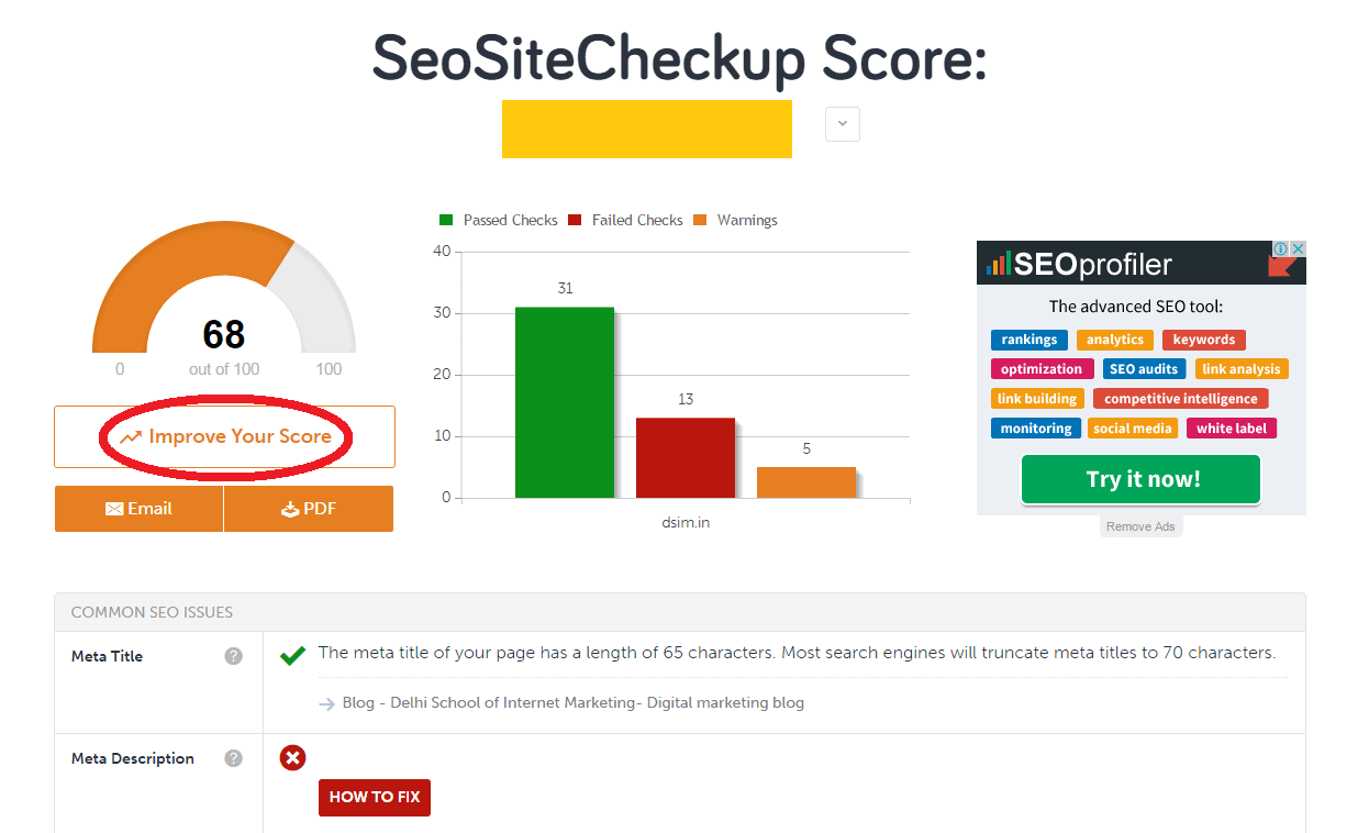 seo site checkup